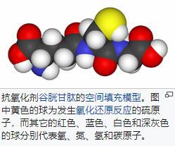 抗氧化劑-澤十字祛痘百科