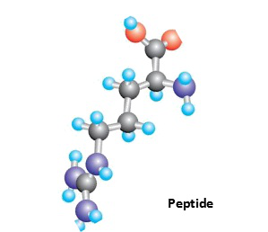 美容多肽的種類