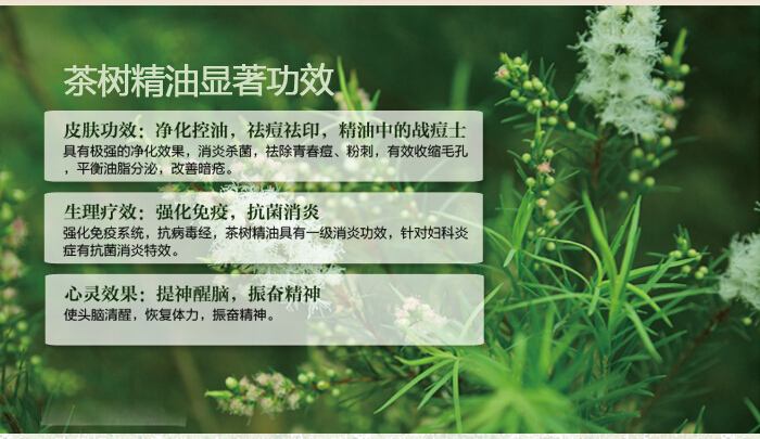 茶樹精油的功效